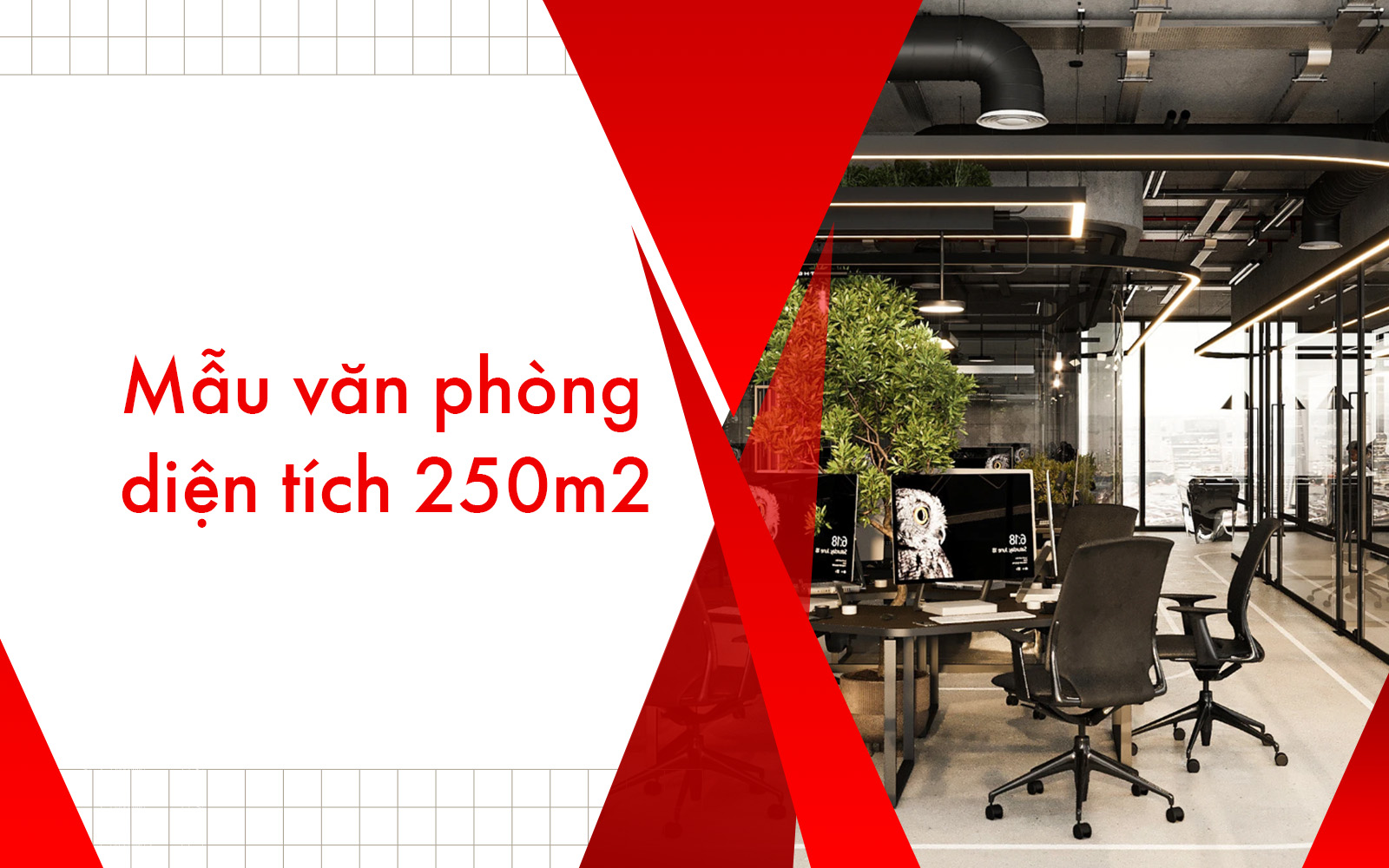 Mẫu nội thất văn phòng diện tích 250m2