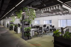 Nhiệm vụ thi công văn phòng - Thiết kế thi công văn phòng Lam Hồng Office