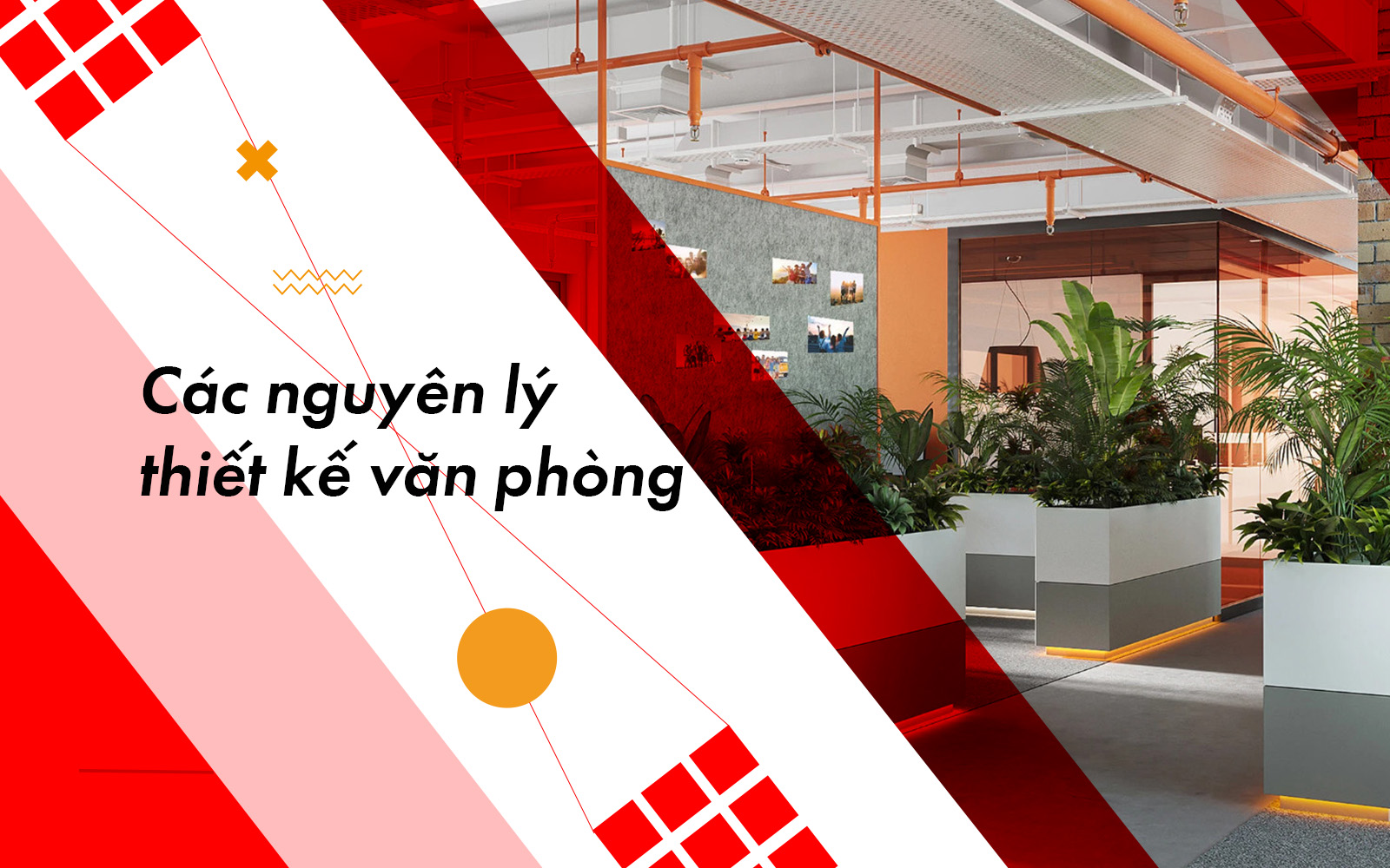 Những nguyên lý thiết kế nội thất văn phòng Lam Hồng Office